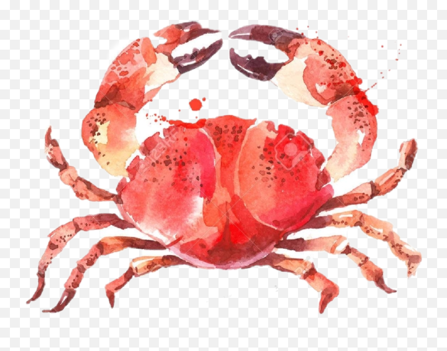 To - True Crabs Emoji,Crab Emoji Meme