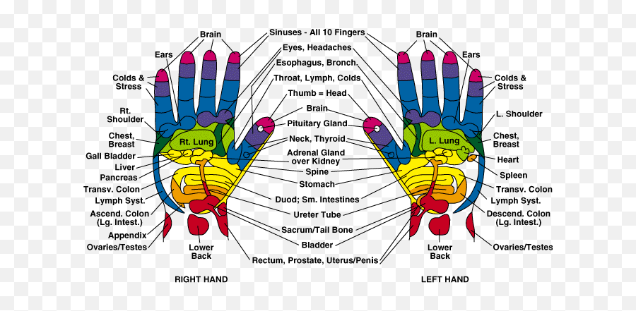 The Reflexology Chart - Healing Points In Hand Emoji,Reflecology Chart Emotions Hands