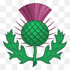 National Symbols Of Scotland Png Free - Clip Art Scottish Thistle Emoji,Scottish Emoji