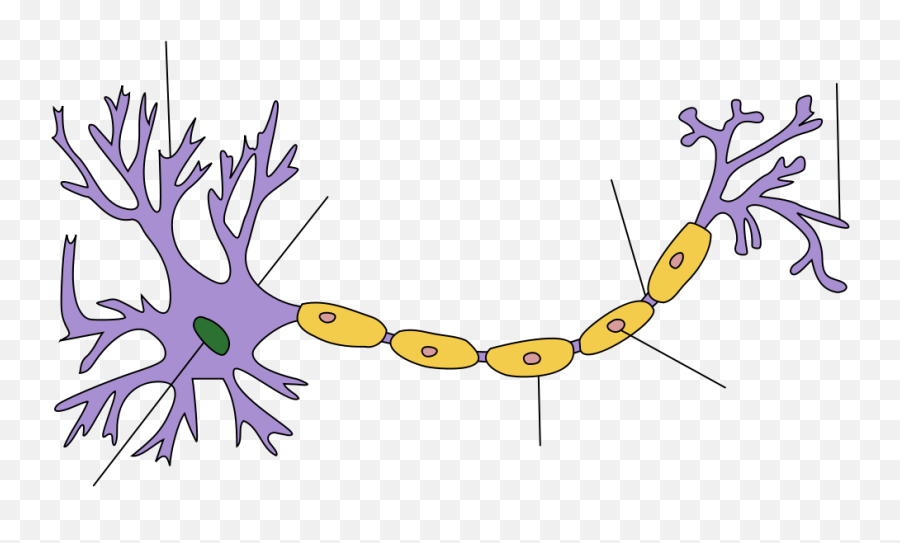 How The Brain Works - Neuron Quiz Emoji,Brain Hand Emotion Model