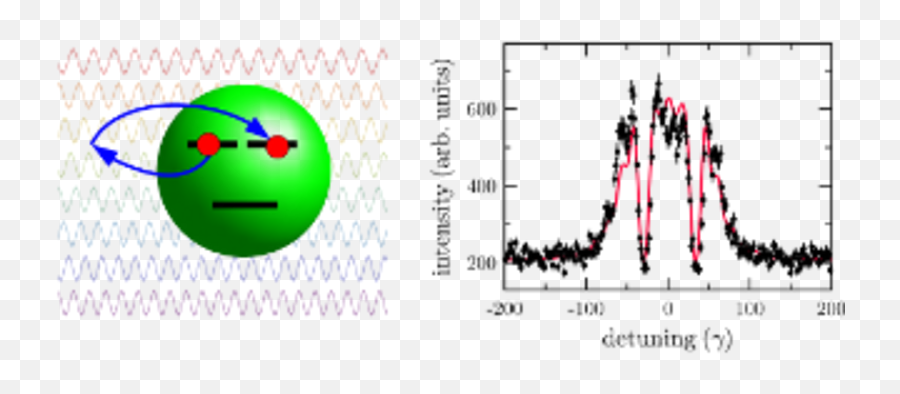 Correlated And X - Ray Quantum Dynamics Evers Maxplanck Dot Emoji,Xrayed Emoticon