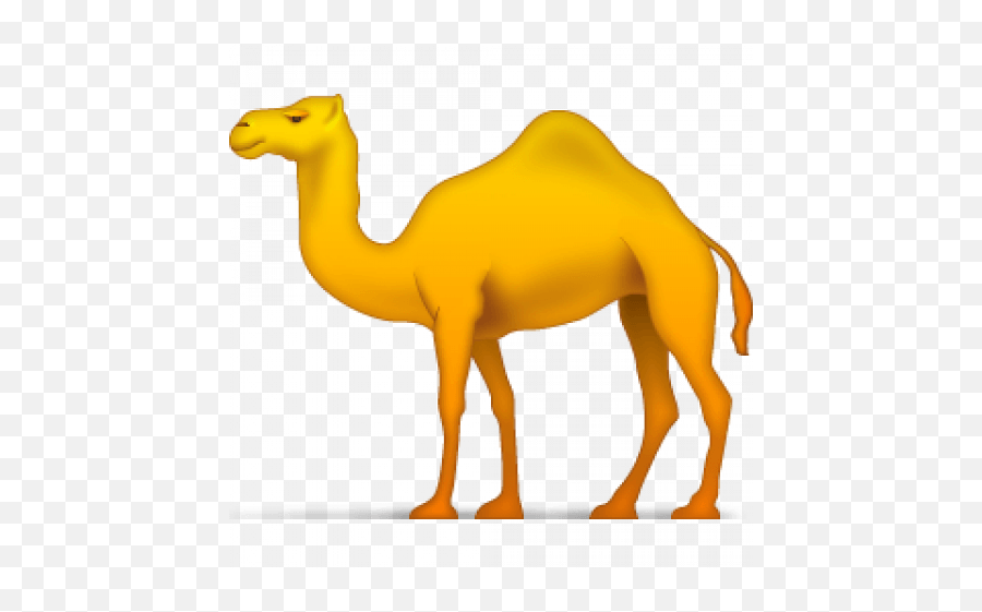 Pin On Camel Png - Transparent Images Transparent Background Camel Clipart Emoji,All Facebok Emojis