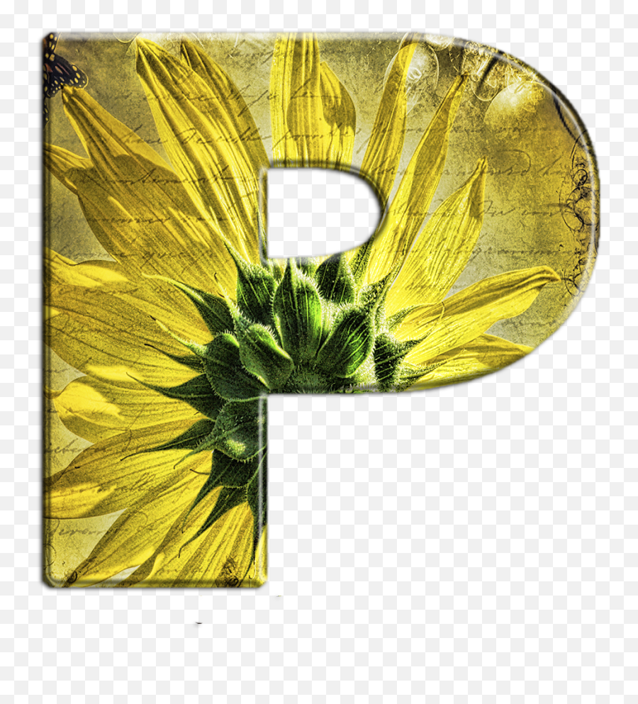 Pin By Krikkelina A On Flores Sunflower Art Print - Girassol Png Emoji,Sunflower Emoji