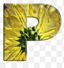 Pin By Krikkelina A On Flores Sunflower Art Print - Girassol Png Emoji,Sunflower Emoji