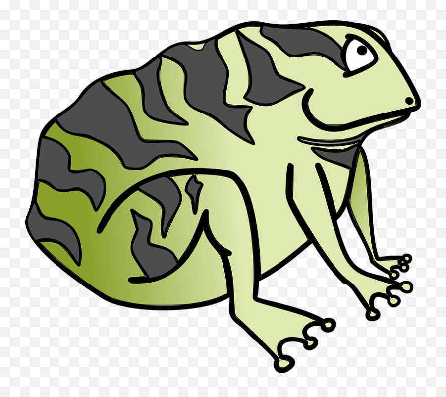 Free Photo Green Nature Wildlife - Toad Cartoon Png Emoji,Spadefoot Toad Emotion