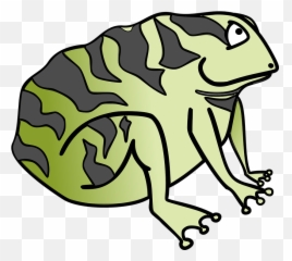 Free Photo Green Nature Wildlife - Toad Cartoon Png Emoji,Spadefoot Toad Emotion