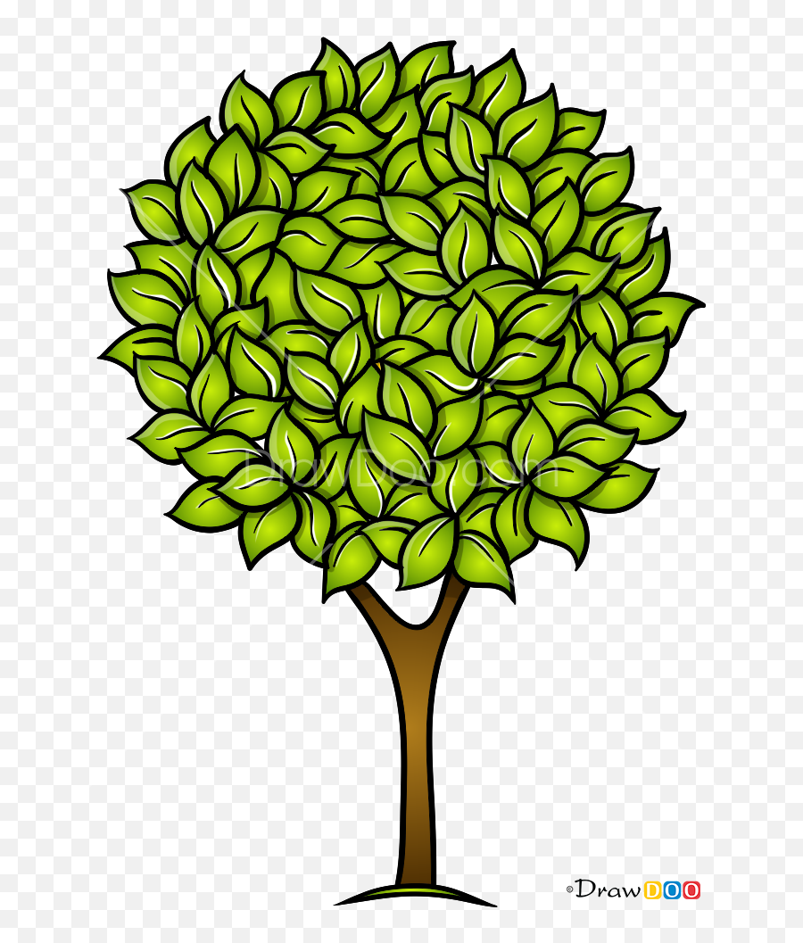 How To Draw Walnut Tree Trees - Draw A Walnut Tree Emoji,Walnut Emoji