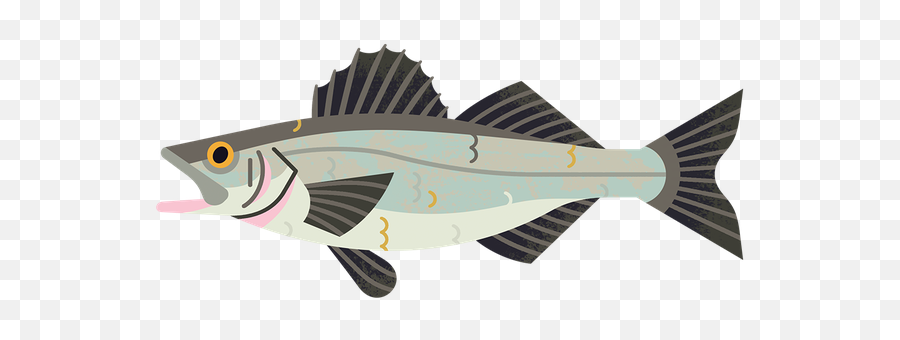 Seabass - Rating Id 567 Good Fish Guide Emoji,Fish Emoticon On Docs