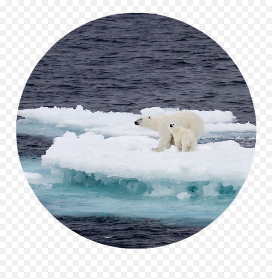 The Most Edited Globalwarming Picsart Emoji,Ice Melting Emoji