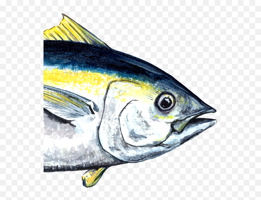 Kauaiu0027s Premier Fishing Charter Emoji,Fishing Emoji