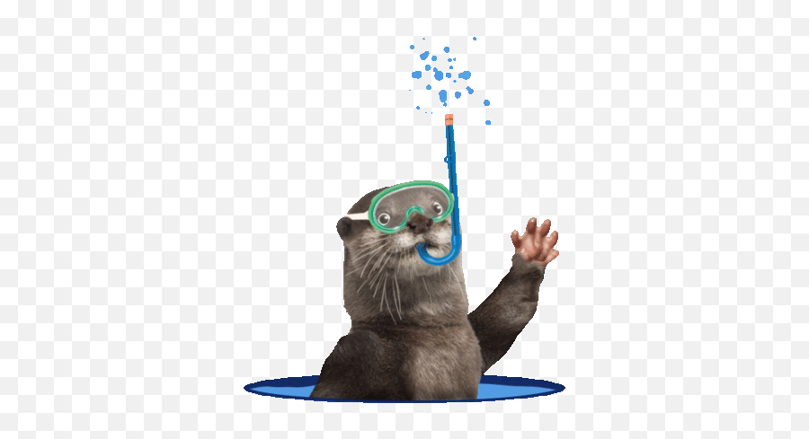 Uni - Sea Animals Gif Transparent Emoji,Sea Otter Emoji