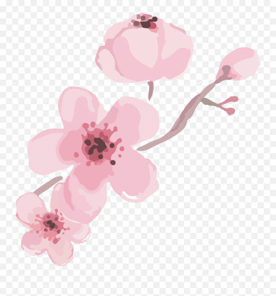 Topic For Animated Cherry Blossoms Cherry Blossom Floral - Girly Emoji,Cherry Blossom Emoji