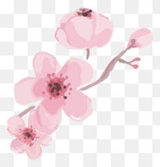 Topic For Animated Cherry Blossoms Cherry Blossom Floral - Girly Emoji,Cherry Blossom Emoji