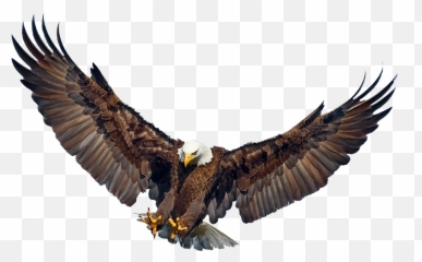 Eagle Landing Wings Spread Psd Official Psds - Eagle With Wings Spread Emoji,Eagle Emoji