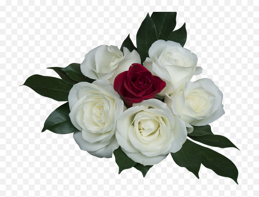 Emotion Roses Pink White - Rosa Vermelha Com Rosa Branca Png Emoji,Bouquet Of Flowers Emoticon