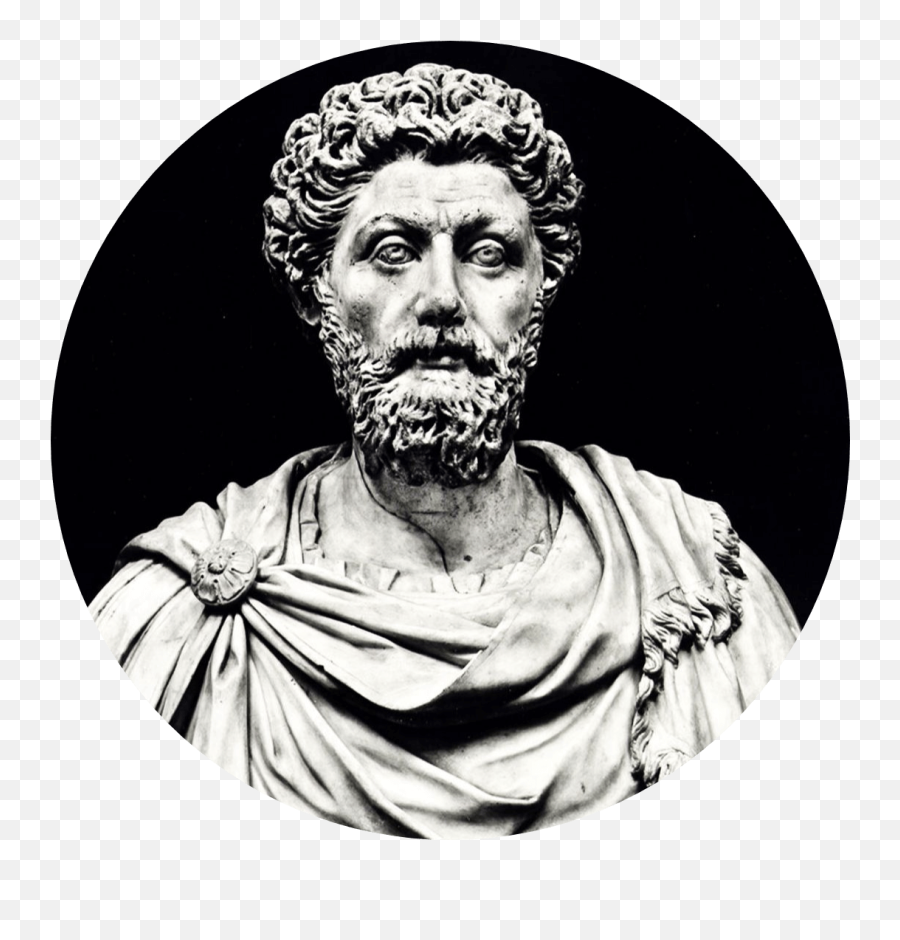 How To Discipline Your - Marcus Aurelius Meditation Book Emoji,Marcus Aureliuis On Ctrolling Emotions