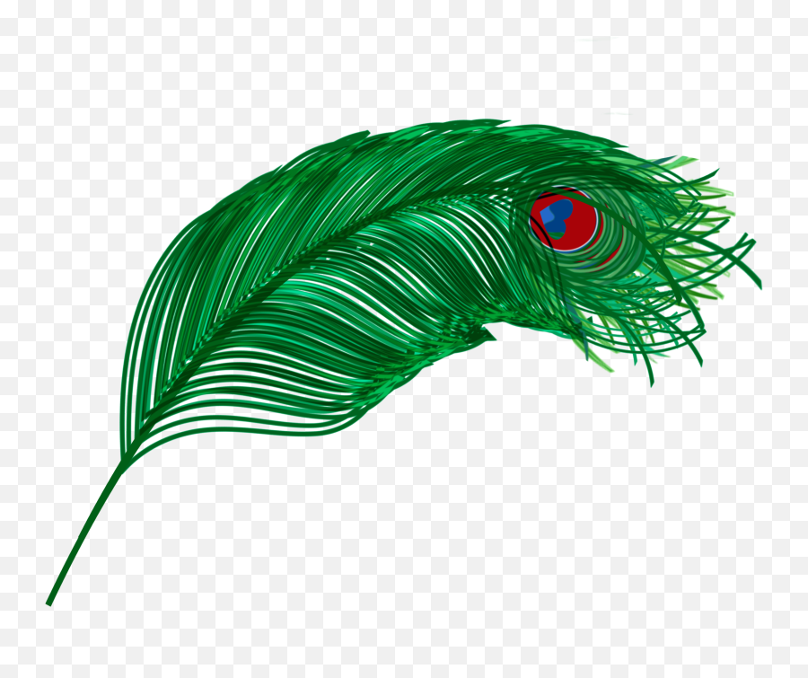 The Most Edited Peacock Feather Picsart Emoji,Peacock Feather Ascii Emoticon