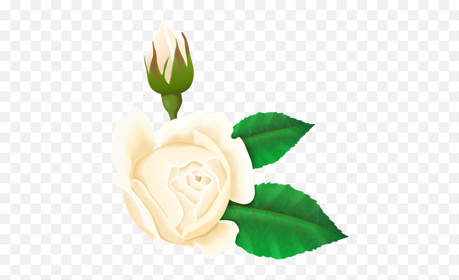 Rose With Leaf Transparent Png Image Pngimagespics Emoji,Rose Emoji