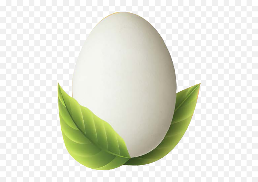 Simply Eggless Emoji,Egg Text Emoji