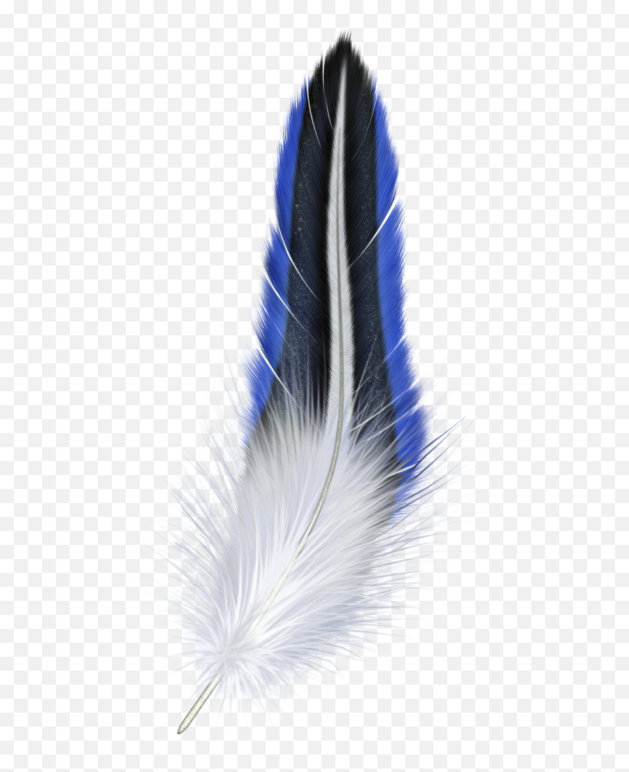 Blue Feather - Feather Png Png Download 5531024 Free Emoji,Ble Bird Emoji
