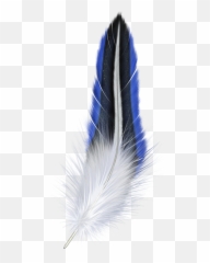 Blue Feather - Feather Png Png Download 5531024 Free Emoji,Ble Bird Emoji
