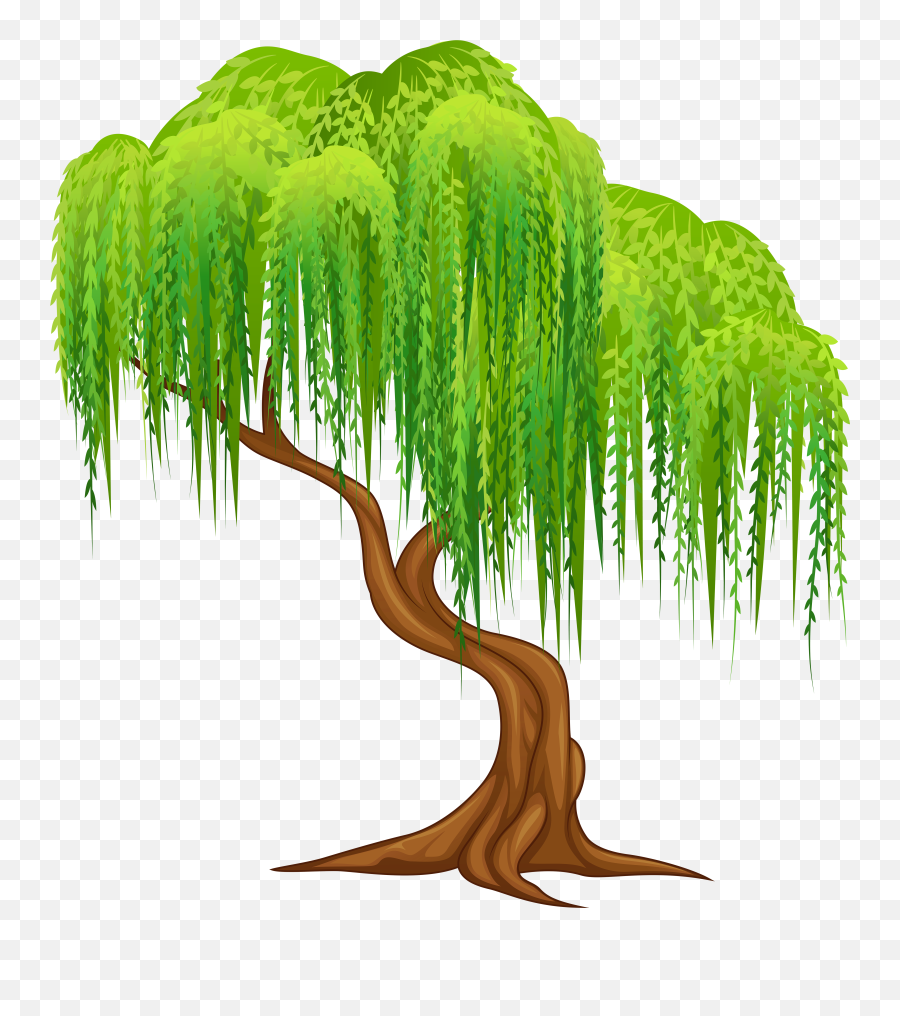Tree Png Cartoon - Willow Tree Clipart 1352003 Vippng Emoji,Pine Tree Emoji
