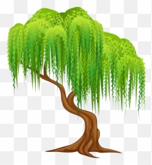 Tree Png Cartoon - Willow Tree Clipart 1352003 Vippng Emoji,Pine Tree Emoji