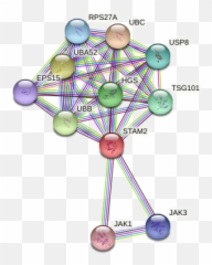 Stam2 Protein - Dot Emoji,Janus Emotion Display