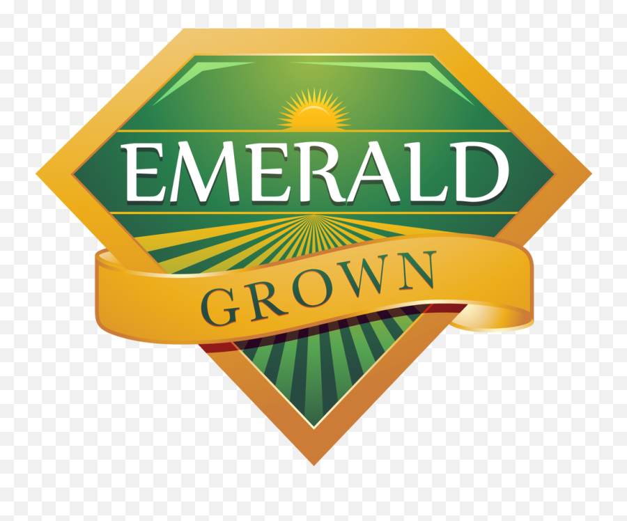 Recent Stories Nevada City California Emoji,How Does Emerald Left Green Affect Emotions