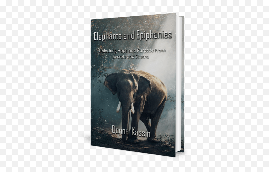 Elephants And Epiphanies U2013 Donnakassincom U2014 Where - Asian Elephant Dark Hd Emoji,Elephant Touching Dead Elephant Emotion