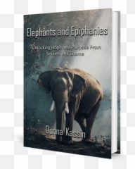 Elephants And Epiphanies U2013 Donnakassincom U2014 Where - Asian Elephant Dark Hd Emoji,Elephant Touching Dead Elephant Emotion