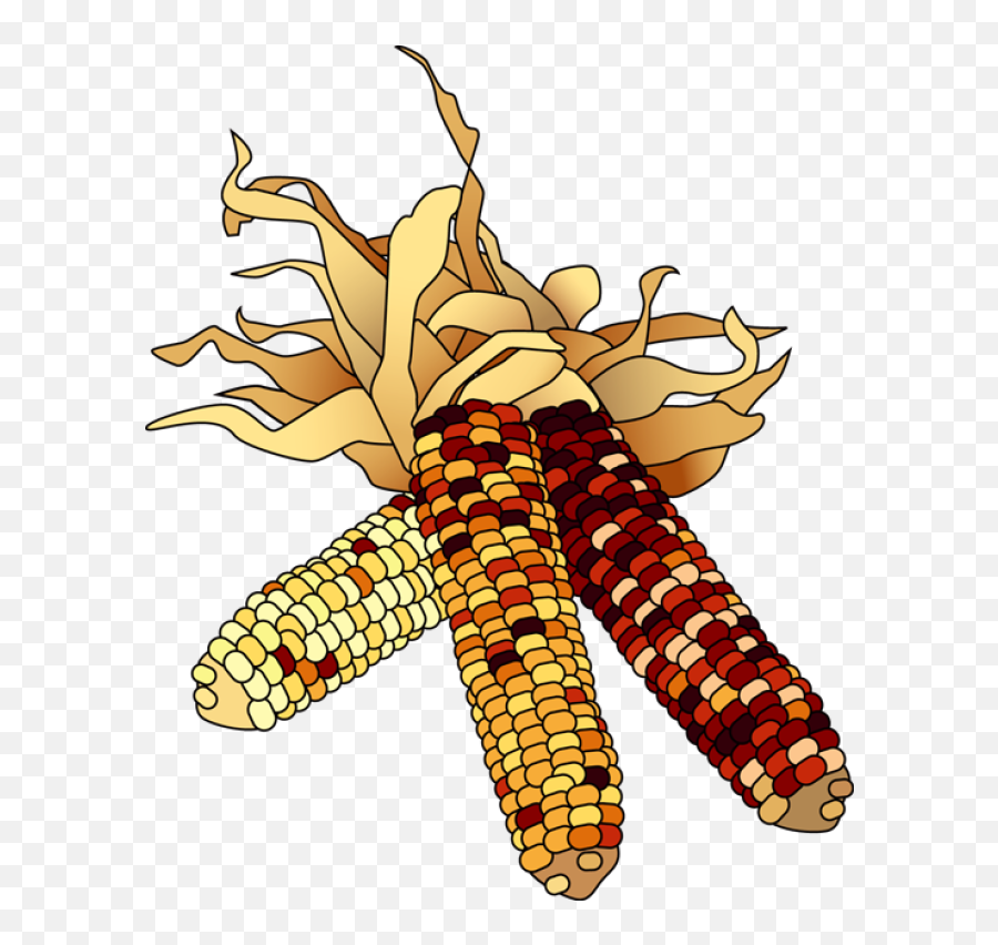 Indian Corn Clipart - Clip Art Thanksgiving Corn Emoji,Corn Emoji