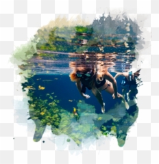 What Is Xenotes Tour - Xenotes Emoji,Emotion Tour Chile