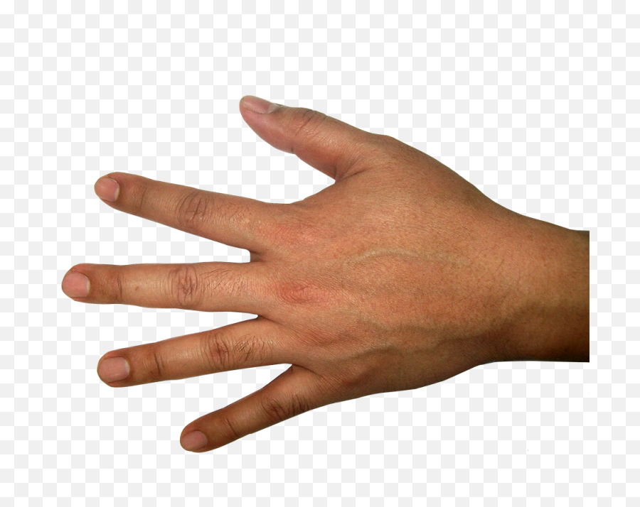 Hand Flat Png Transparent Images Download - Yourpngcom Grabbing Hand Back Png Emoji,Girlsholding Hands Emoji