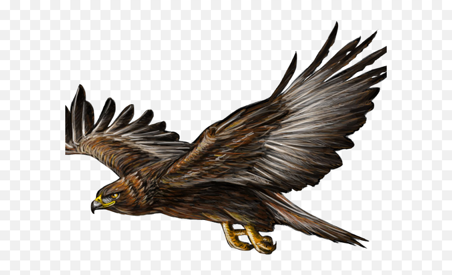 Hawk Clipart Helang - Golden Eagle Eagle Drawing Golden Eagle Transparent Background Emoji,Bald Eagle Emoji