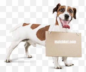 100 Trending Instagram Captions Dog - Matchket Emoji,Facebook Animal Emojis