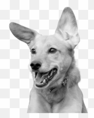 Pet Parent Allies Emoji,Dog Relaxing In Recliner Emotions