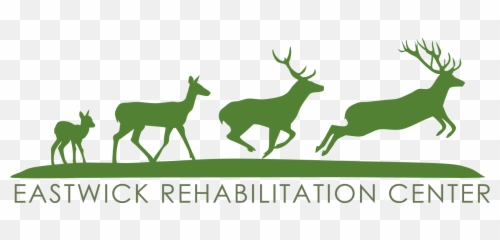 Richardson Zoological U0026 Conservation Associations - The Zt2 Emoji,Zetaboards Rearrange Emoticons