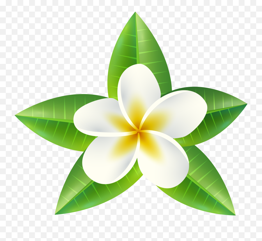 Tropical Flower Png Clip Art Imageu200b Emoji,Tropical Flower Emoji