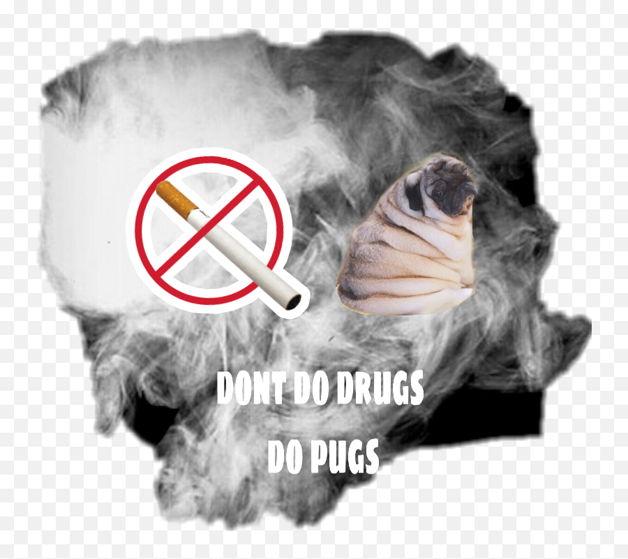 Nailedit No Smoking Sticker By Caydencejohnson - Cigarette Emoji,No Smoking Emoji