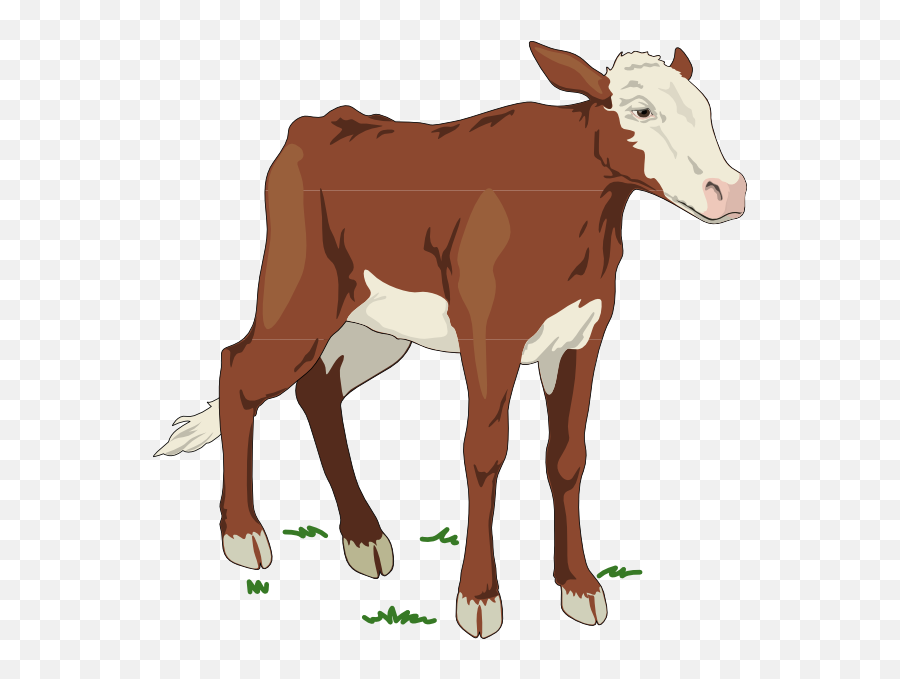 Cows Clipart Calf Cows Calf - Clipart Cow Baby Emoji,Cow Showing Emotion