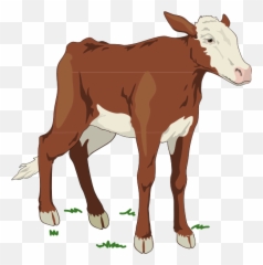 Cows Clipart Calf Cows Calf - Clipart Cow Baby Emoji,Cow Showing Emotion