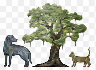 Top Rated Local Veterinarians U2013 Live Oak Animal Hospital - Dog Emoji,Buy Small Images Of Emotions And Feelings Vero Beach Florida