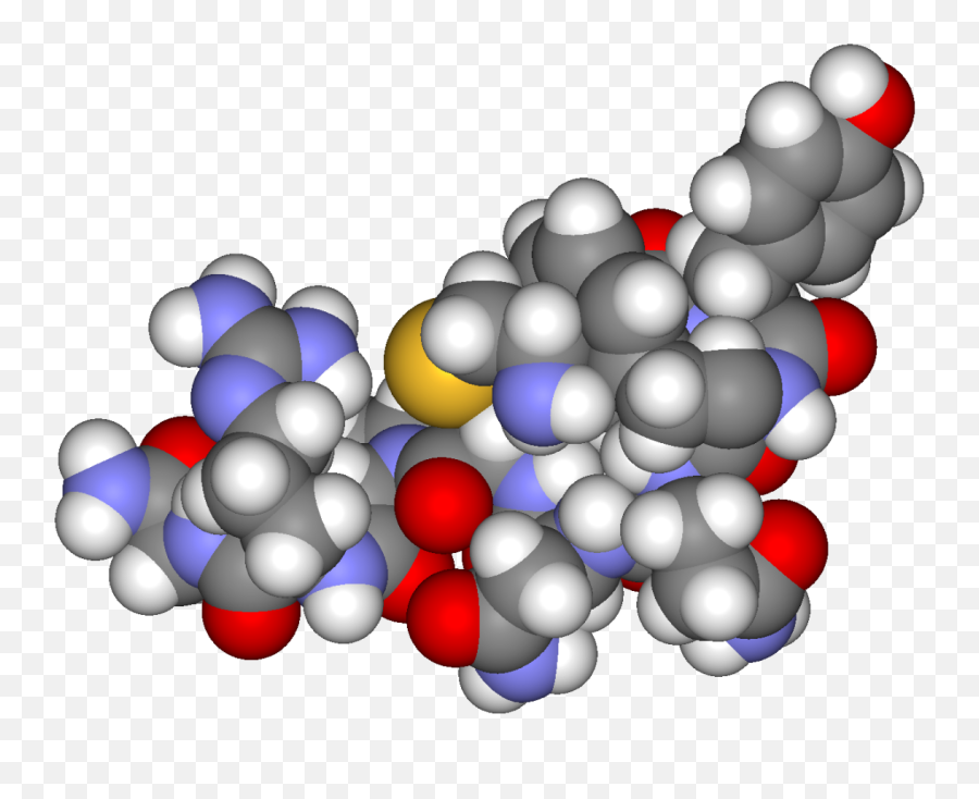 Emily Author At - Vasopresina Png Emoji,Neurotransmitters And Emotions Mcat