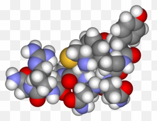 Emily Author At - Vasopresina Png Emoji,Neurotransmitters And Emotions Mcat