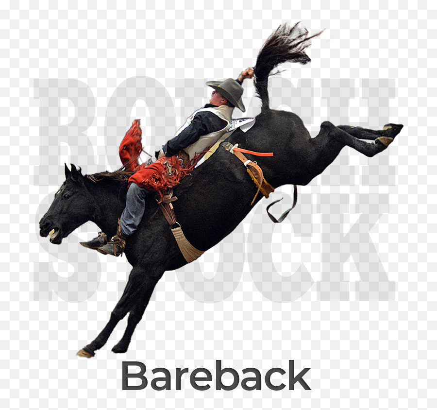 Rodeo Mart Americau0027s Original Rodeo Store - Rein Emoji,Riding On A Horse Emoji