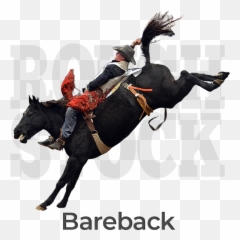 Rodeo Mart Americau0027s Original Rodeo Store - Rein Emoji,Riding On A Horse Emoji