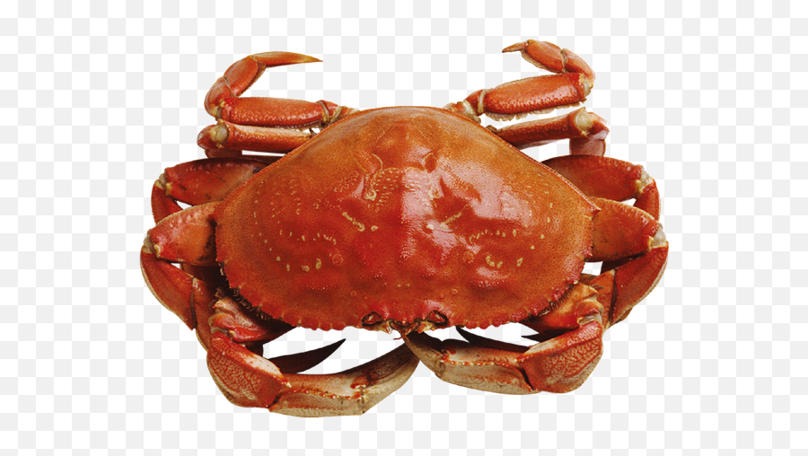 Remember English P3 - Red Crab Png Emoji,Crab Emoji For Email Subject Line