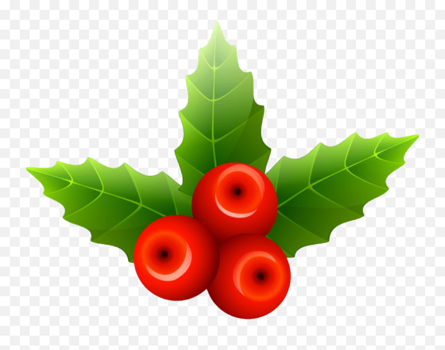 Christmas Mistletoe Png Transparent Image Png Mart Emoji,Misletole Emoji