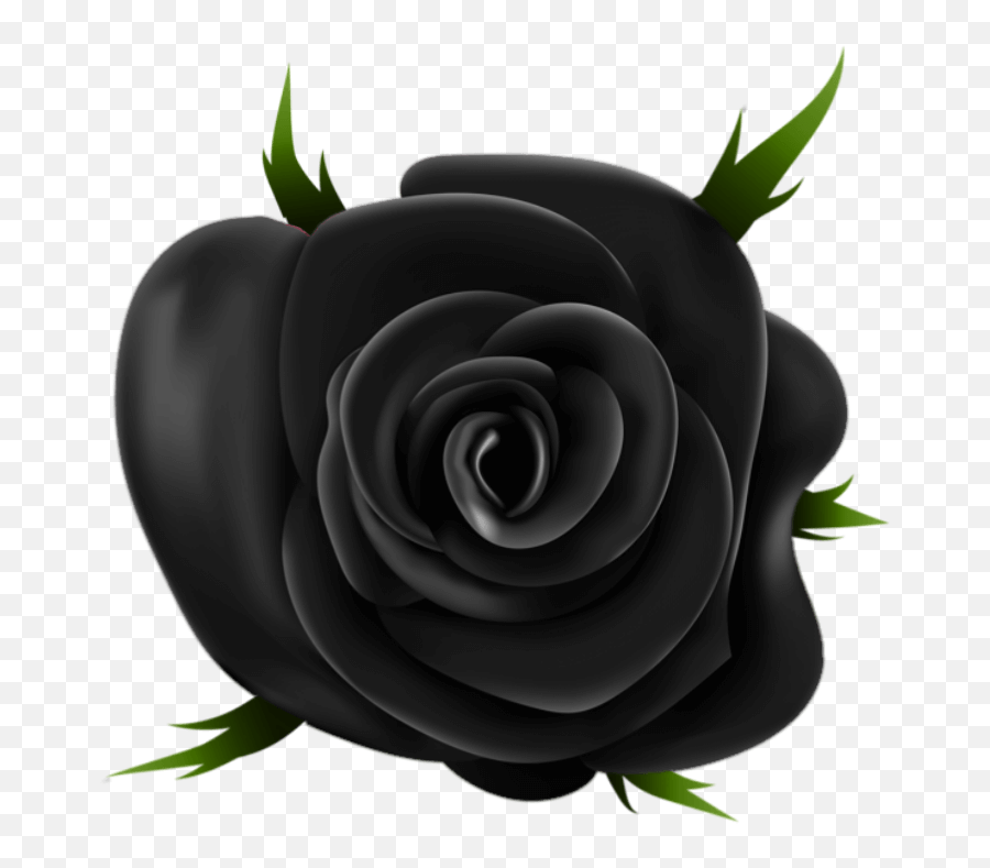 Black Rose Png Transparent Download Free Finetech Raju Emoji,Emoji Flower Rose